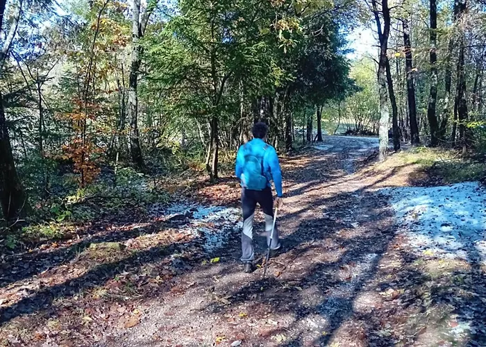 Ca Sul Dos Appartement *